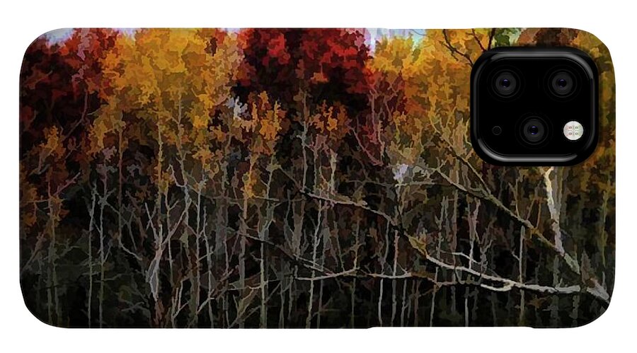 Wisconsin Woods In The Fall - Phone Case