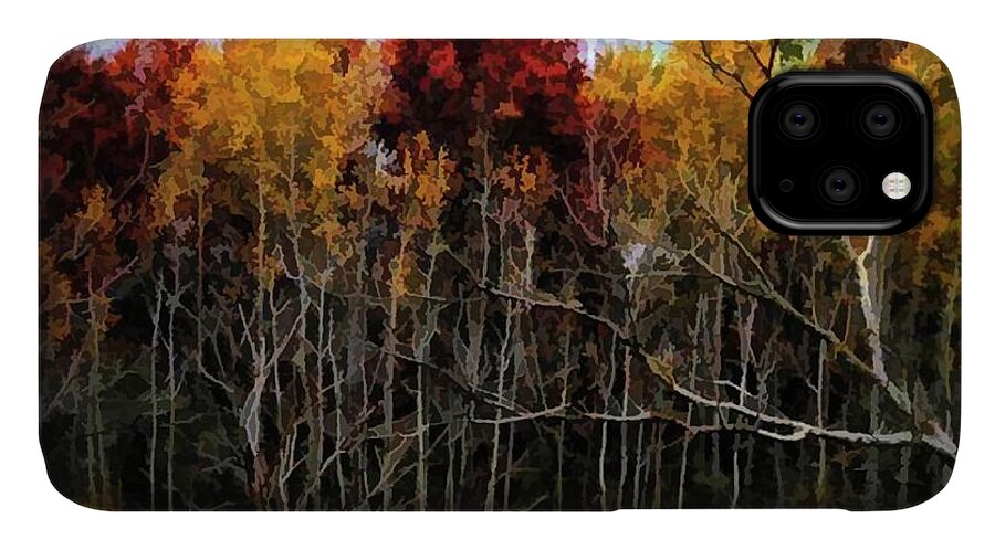 Wisconsin Woods In The Fall - Phone Case