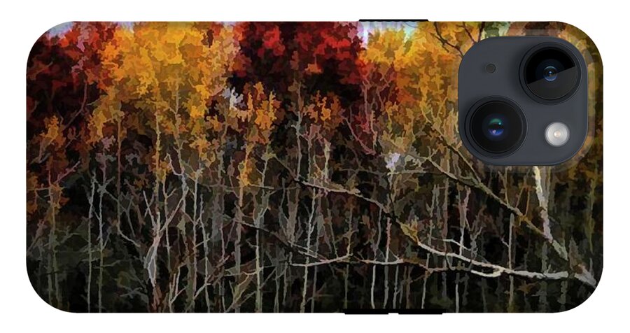 Wisconsin Woods In The Fall - Phone Case