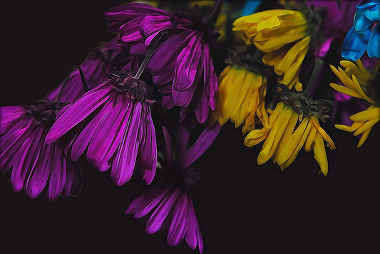 Withered Daisies Digital Image Download