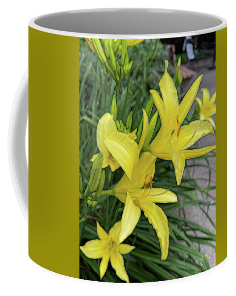 Yellow Daylilies In July - Mug