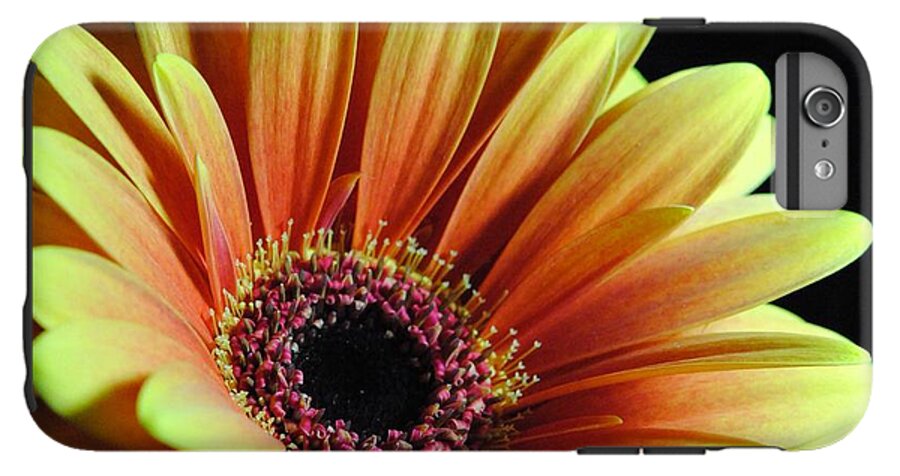 Yellow Orange Daisy - Phone Case