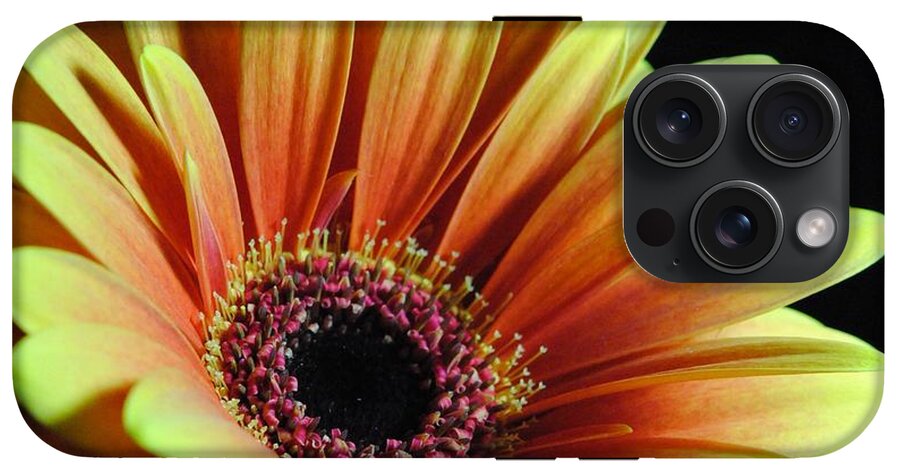 Yellow Orange Daisy - Phone Case