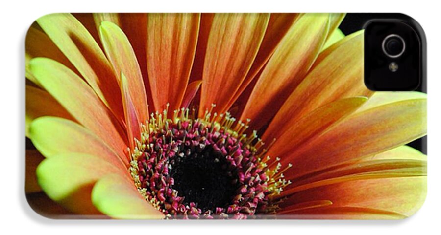 Yellow Orange Daisy - Phone Case