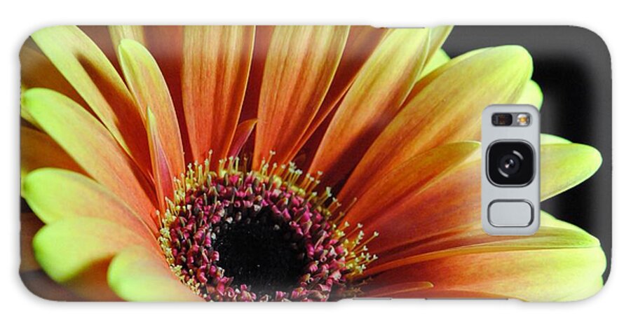 Yellow Orange Daisy - Phone Case