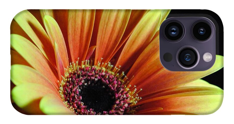 Yellow Orange Daisy - Phone Case