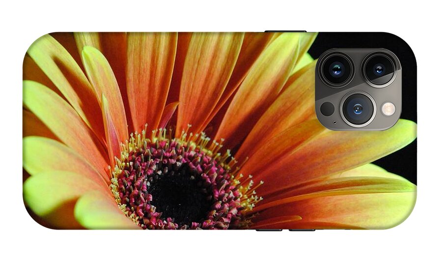 Yellow Orange Daisy - Phone Case