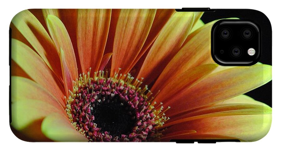 Yellow Orange Daisy - Phone Case