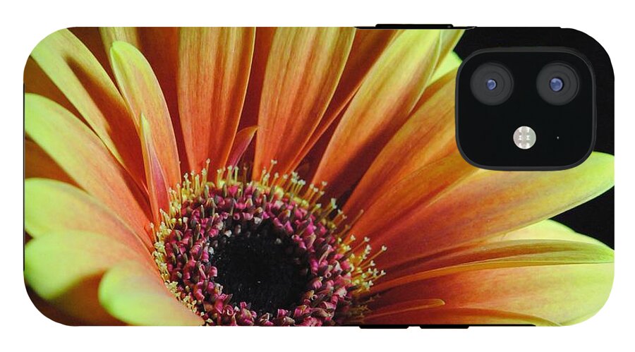 Yellow Orange Daisy - Phone Case