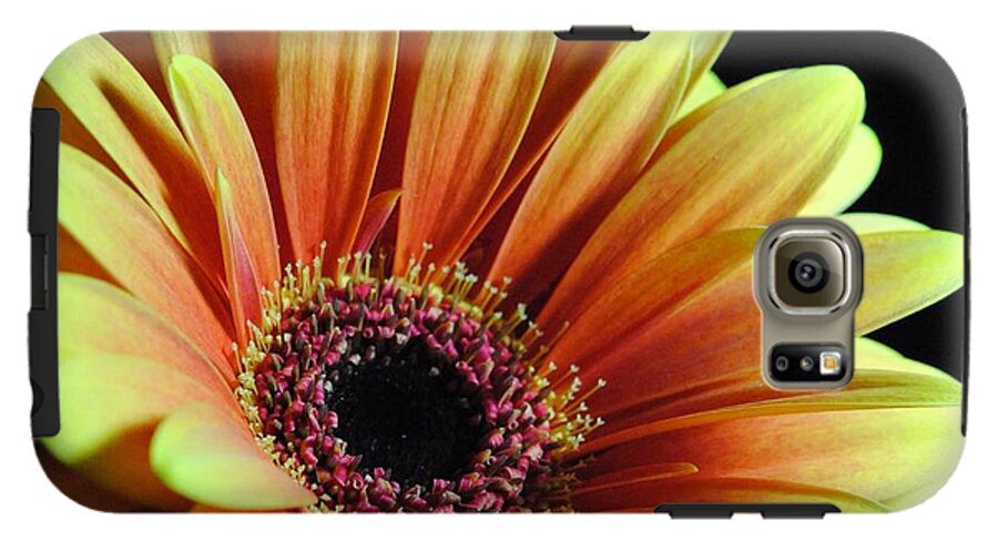 Yellow Orange Daisy - Phone Case