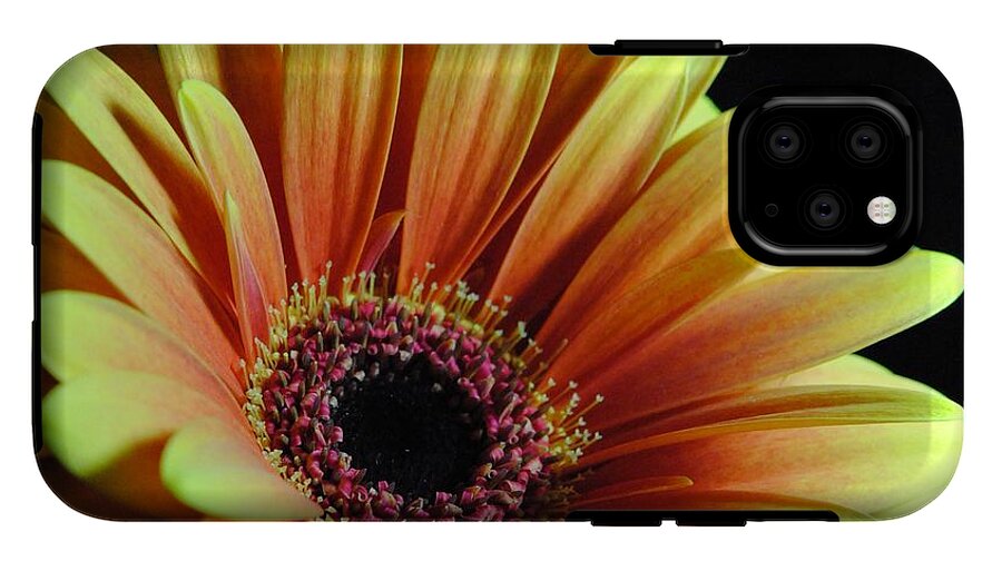 Yellow Orange Daisy - Phone Case