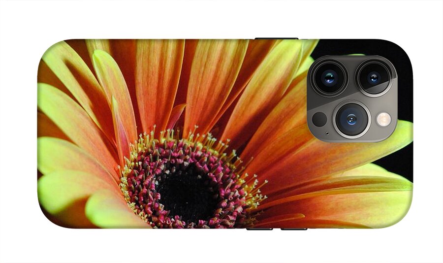 Yellow Orange Daisy - Phone Case