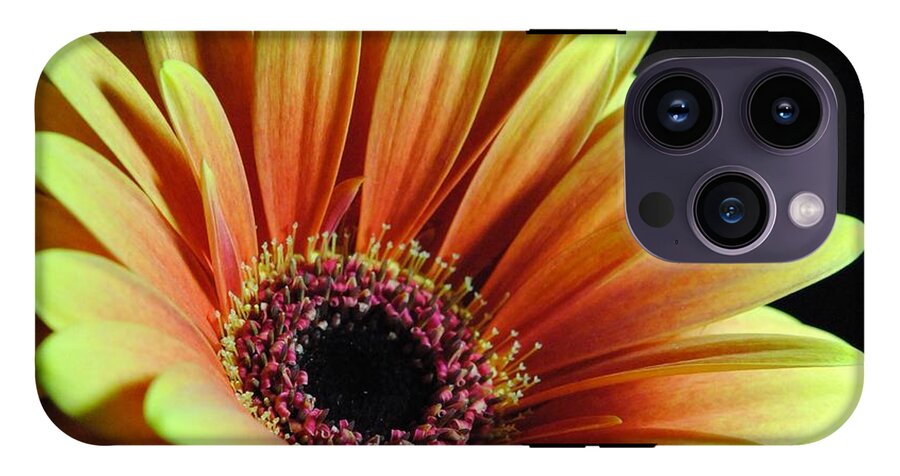 Yellow Orange Daisy - Phone Case