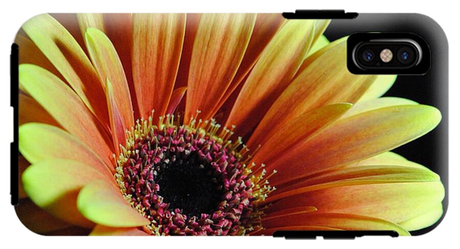 Yellow Orange Daisy - Phone Case