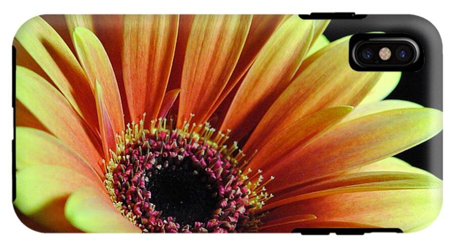 Yellow Orange Daisy - Phone Case