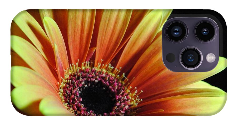 Yellow Orange Daisy - Phone Case