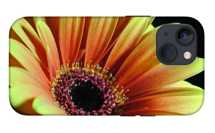 Yellow Orange Daisy - Phone Case