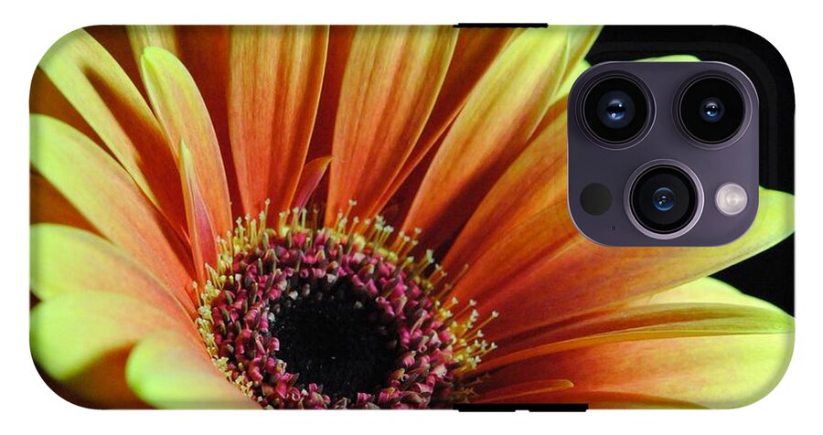 Yellow Orange Daisy - Phone Case