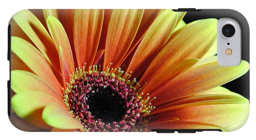 Yellow Orange Daisy - Phone Case