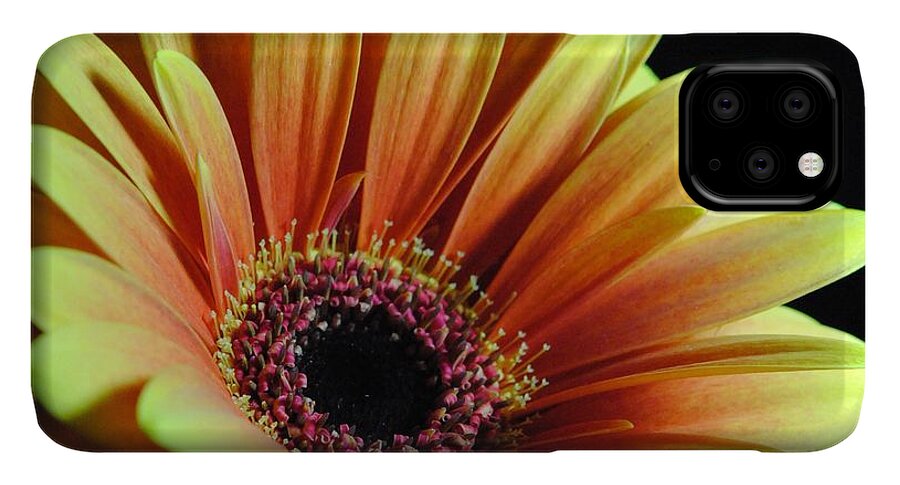 Yellow Orange Daisy - Phone Case