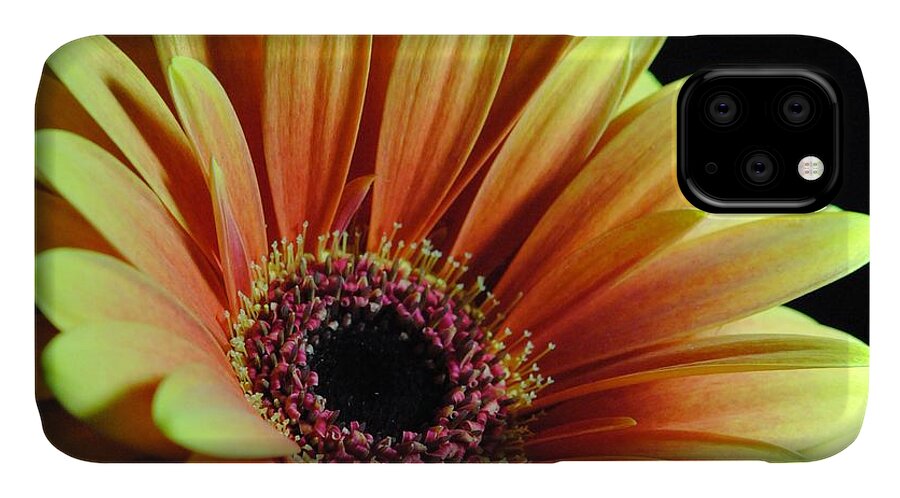 Yellow Orange Daisy - Phone Case