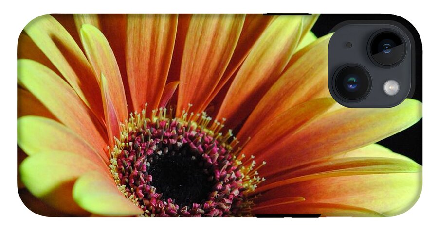 Yellow Orange Daisy - Phone Case