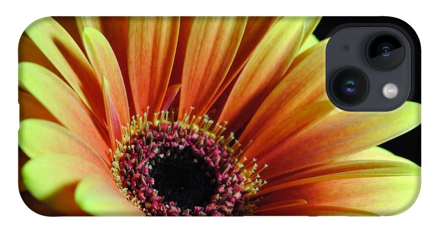 Yellow Orange Daisy - Phone Case