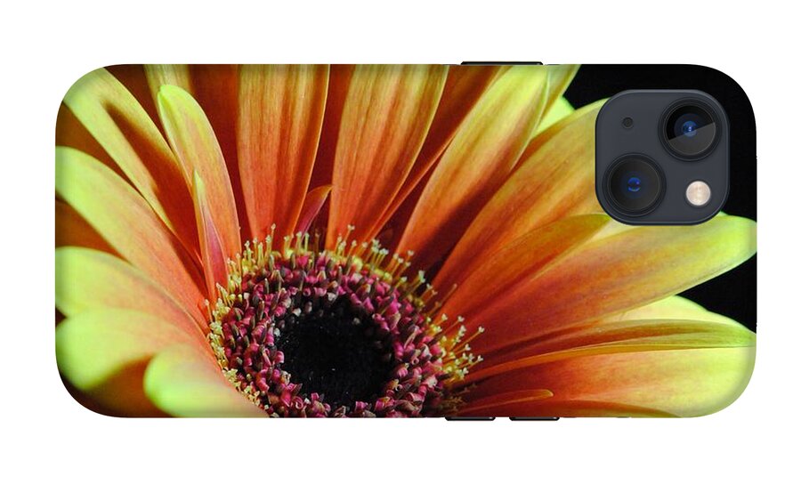 Yellow Orange Daisy - Phone Case
