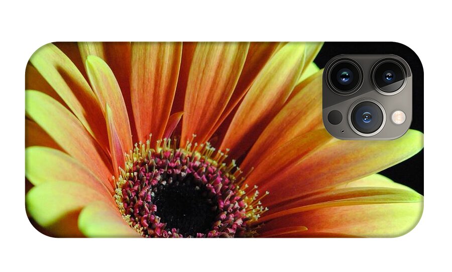 Yellow Orange Daisy - Phone Case