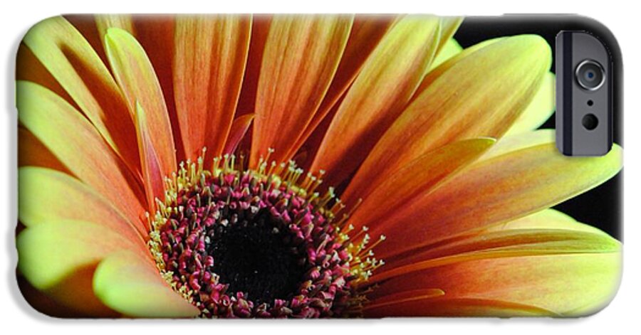 Yellow Orange Daisy - Phone Case