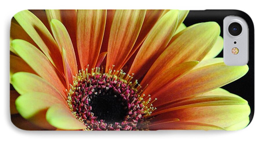 Yellow Orange Daisy - Phone Case