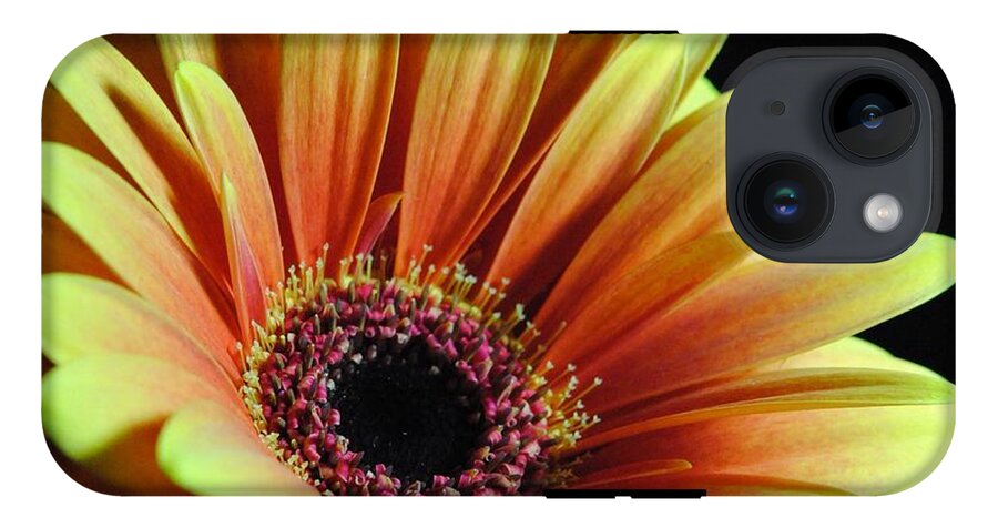 Yellow Orange Daisy - Phone Case