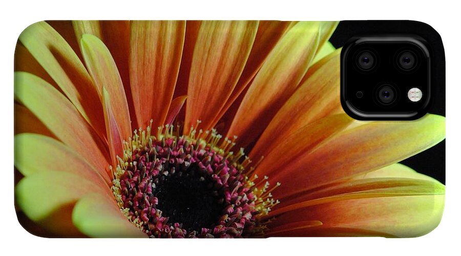 Yellow Orange Daisy - Phone Case
