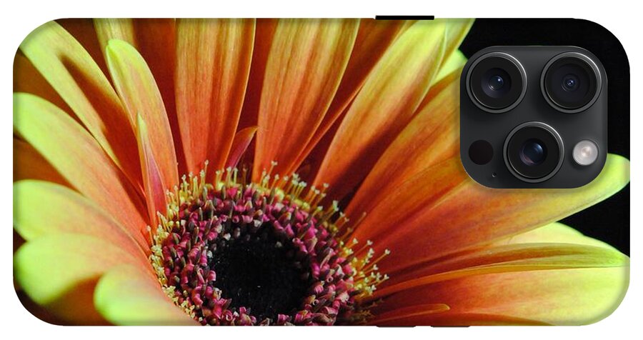 Yellow Orange Daisy - Phone Case
