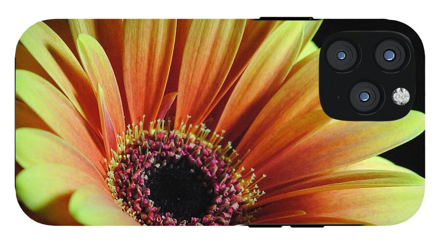 Yellow Orange Daisy - Phone Case
