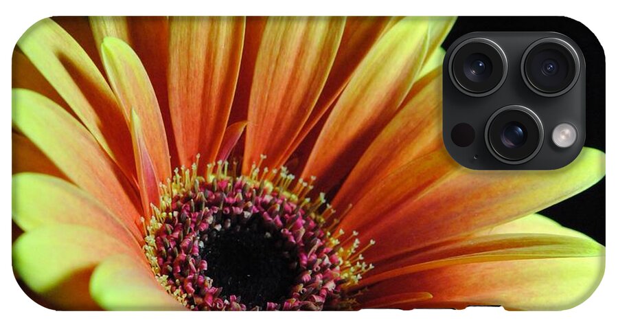 Yellow Orange Daisy - Phone Case