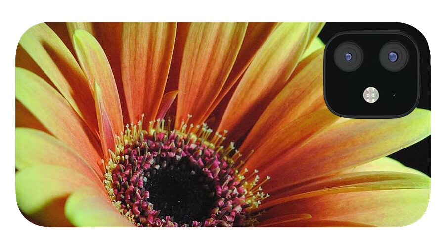 Yellow Orange Daisy - Phone Case