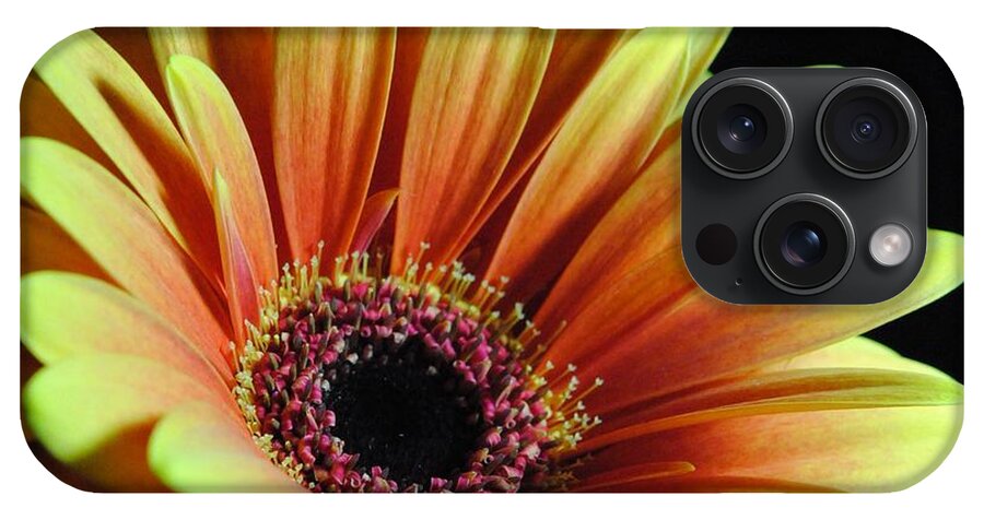 Yellow Orange Daisy - Phone Case