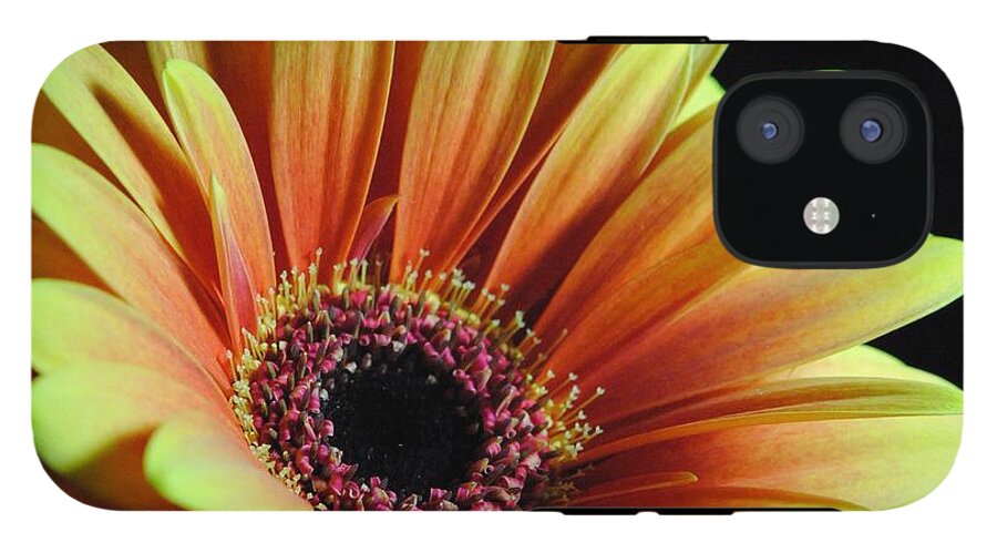 Yellow Orange Daisy - Phone Case