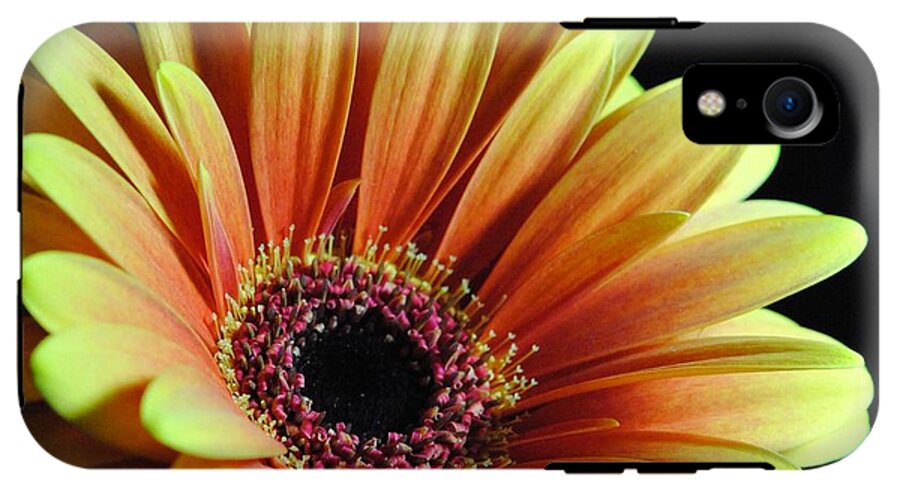 Yellow Orange Daisy - Phone Case