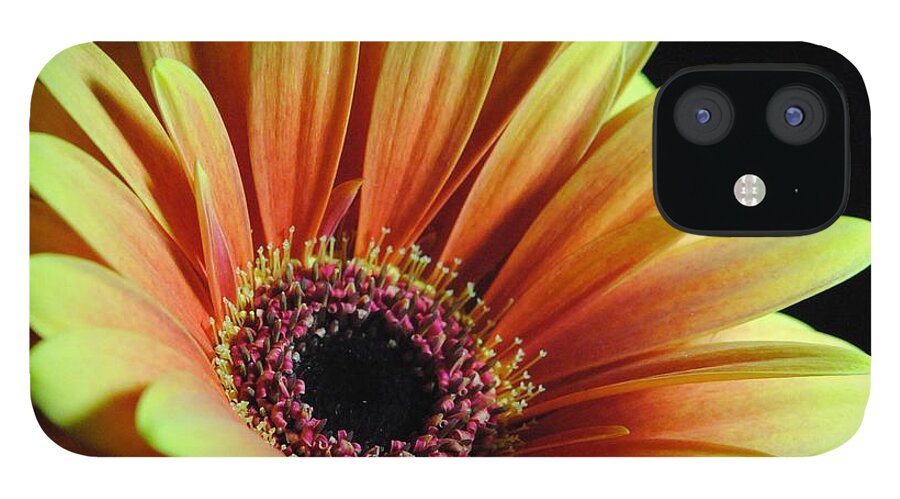 Yellow Orange Daisy - Phone Case