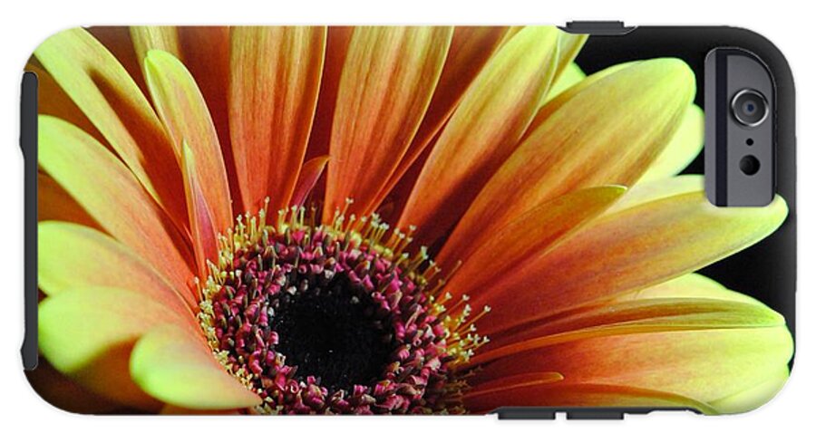 Yellow Orange Daisy - Phone Case