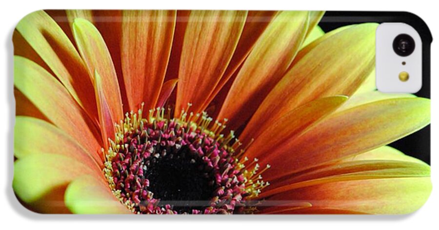 Yellow Orange Daisy - Phone Case