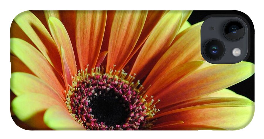 Yellow Orange Daisy - Phone Case