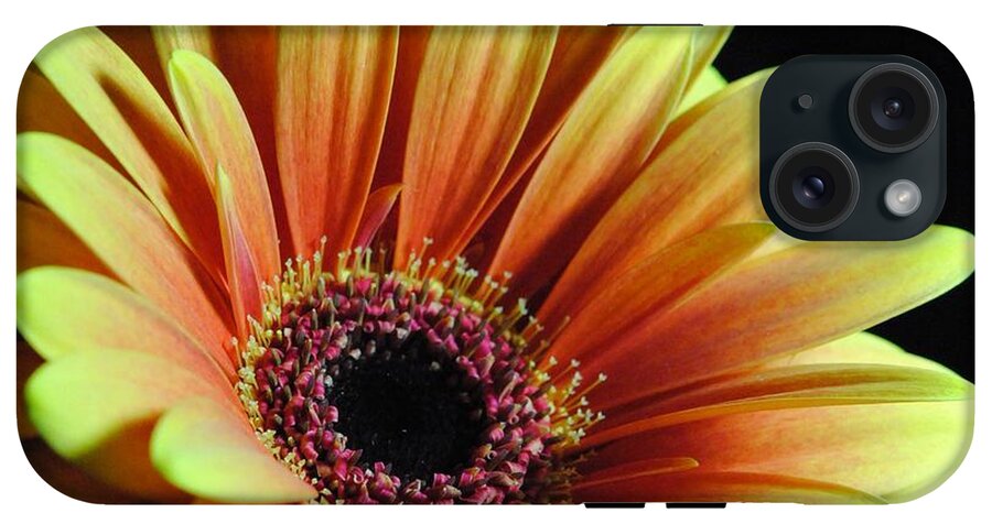 Yellow Orange Daisy - Phone Case