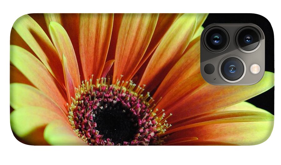 Yellow Orange Daisy - Phone Case