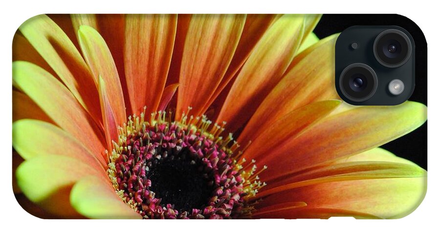 Yellow Orange Daisy - Phone Case
