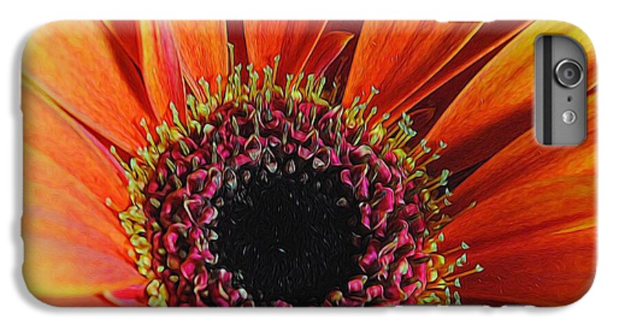 Yellow Orange Daisy Close Up - Phone Case