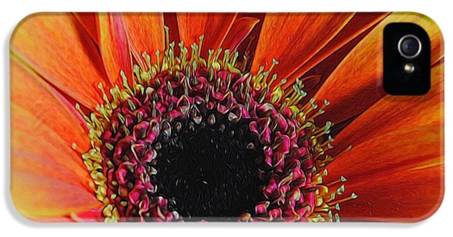 Yellow Orange Daisy Close Up - Phone Case