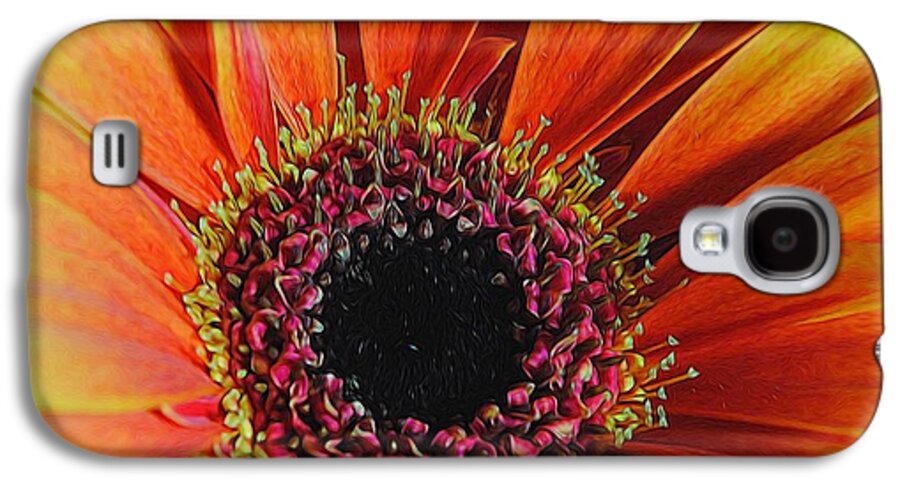 Yellow Orange Daisy Close Up - Phone Case